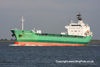 Arklow-Wave-14-July-2008.jpg (91804 bytes)