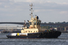 Svitzer-Sky-10-July-2010-1.jpg (201284 bytes)