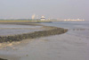 The-Waterfront-at-Terneuzen.jpg (35422 bytes)